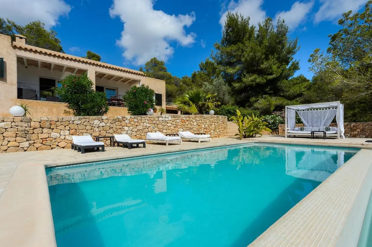 Casa Olivo Βίλα San José